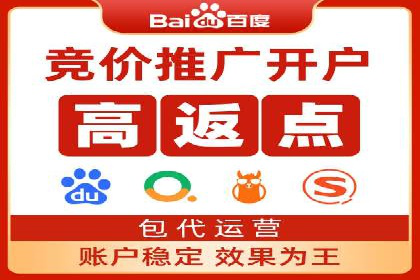 案例研究：SEM代运营服务公司的创新策略